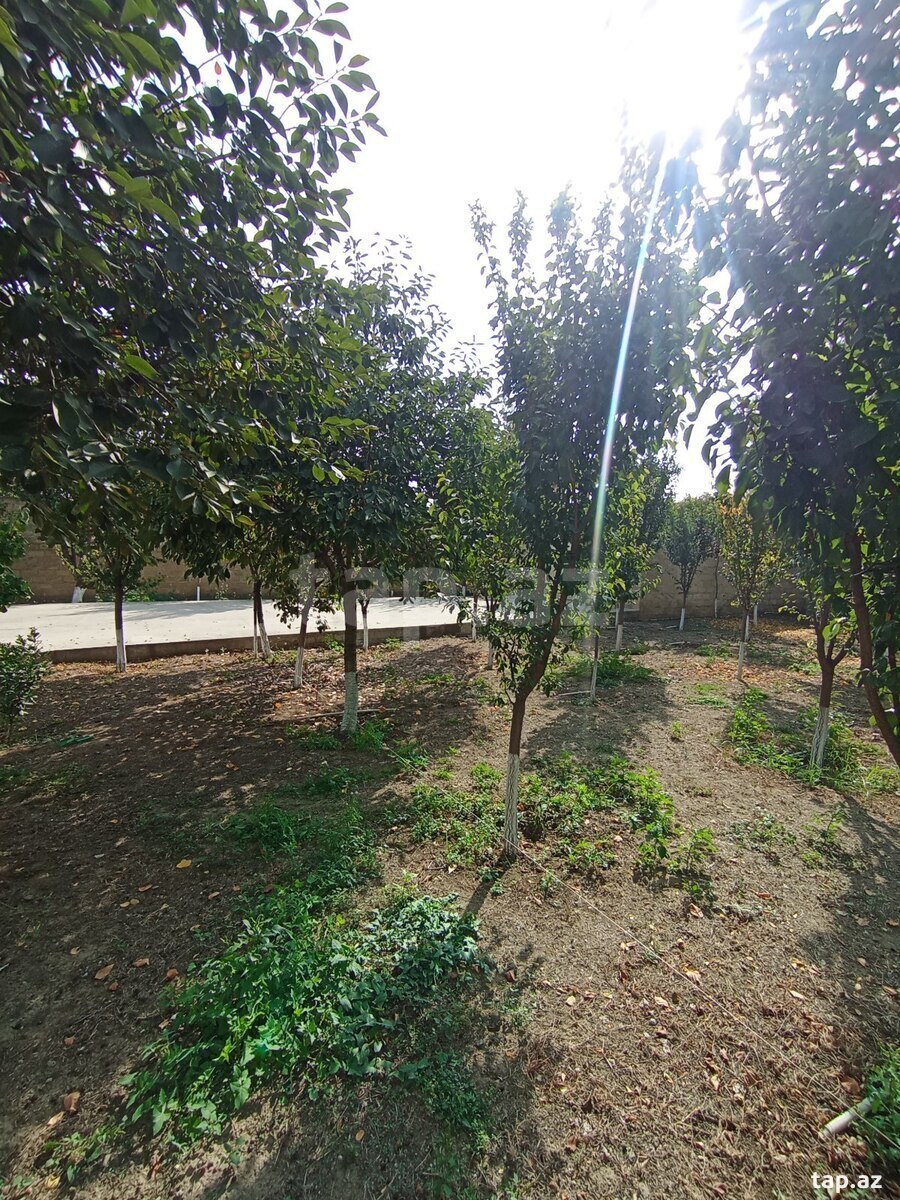 Torpaq satılır, Gəncə