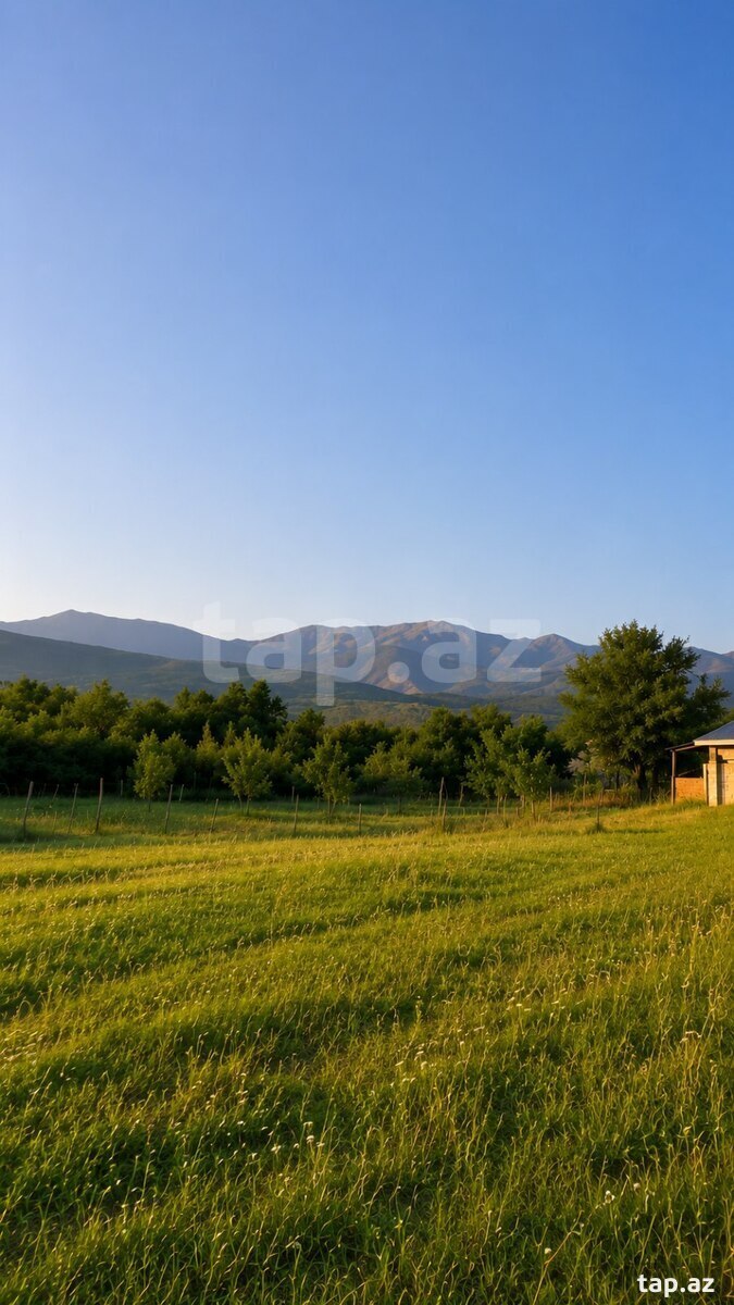 Torpaq satılır, İsmayıllı, İsmayıllı