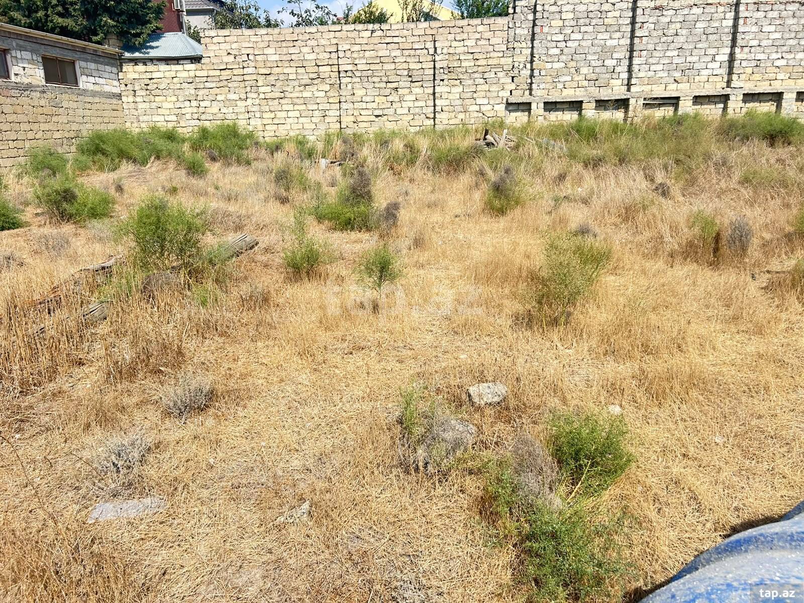 Torpaq satılır, Bakı