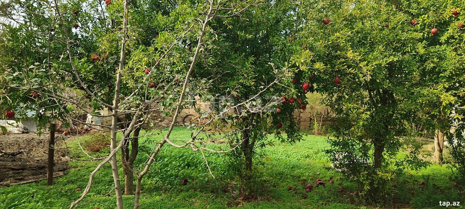 6-комн. дача на продажу, Мардакан, Баку