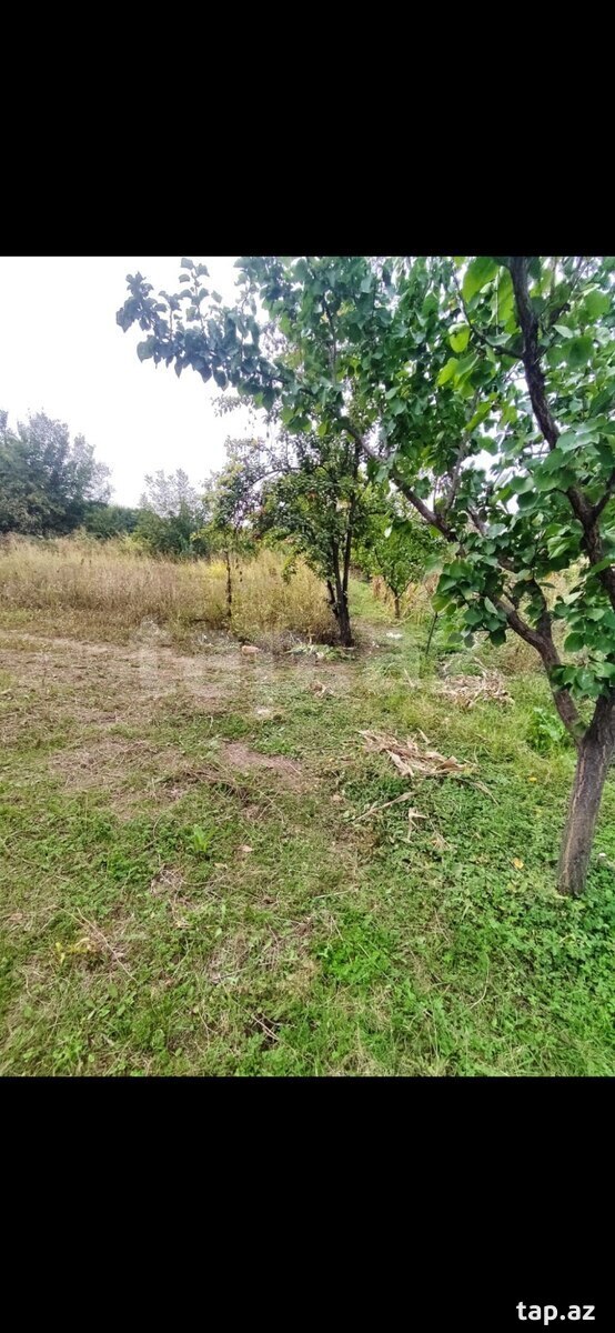 Torpaq satılır, Gəncə