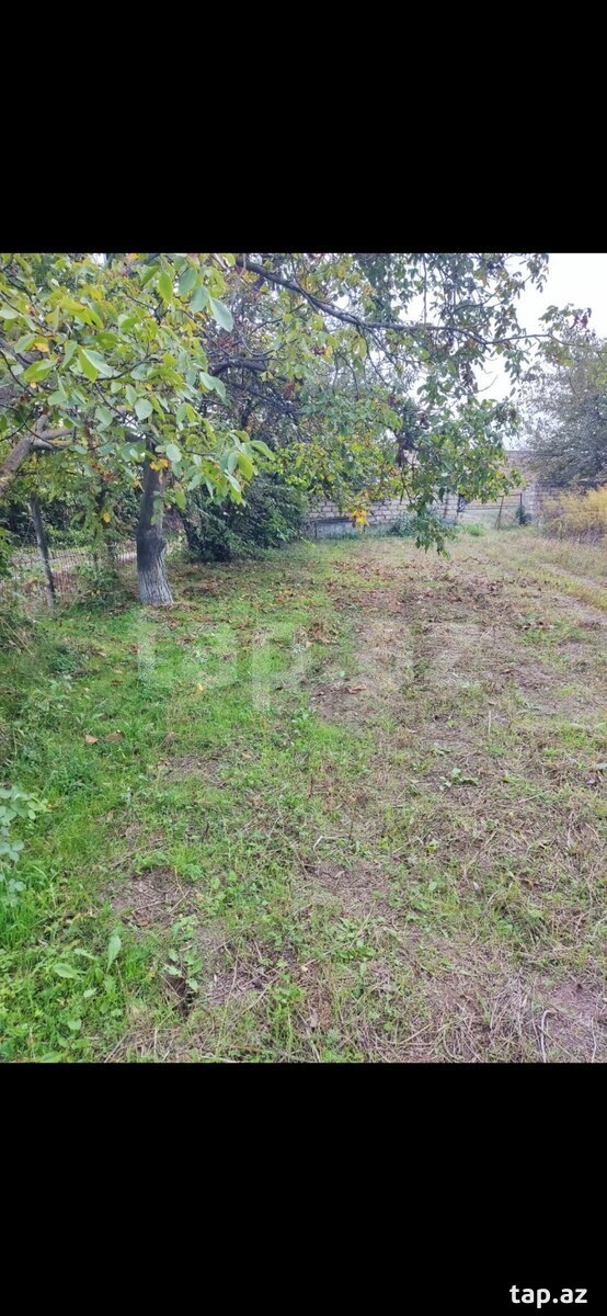 Torpaq satılır, Gəncə