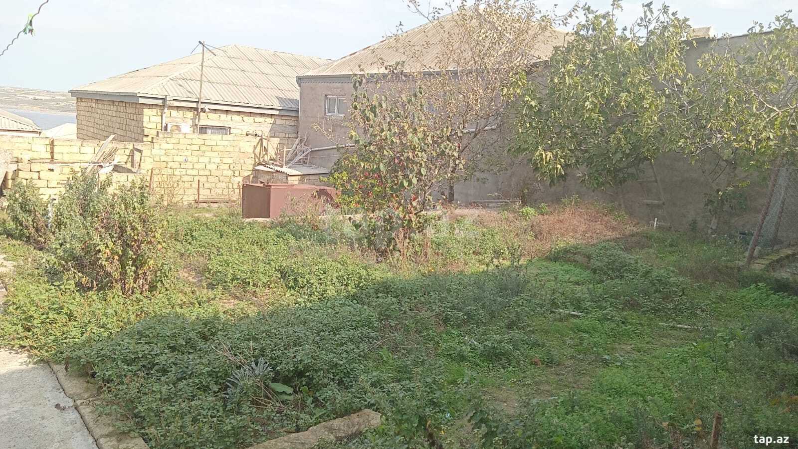 Torpaq satılır, Bakı