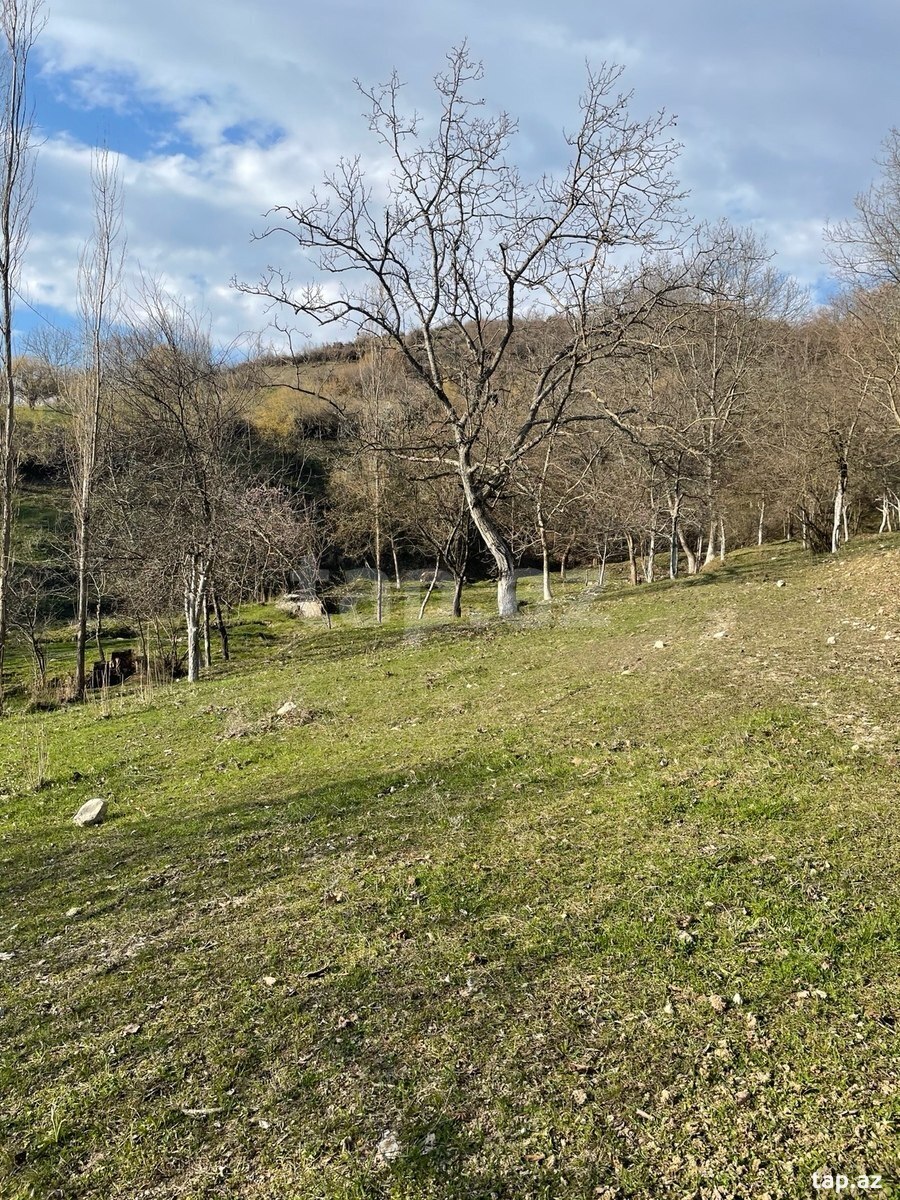 Torpaq satılır, İsmayıllı, İsmayıllı