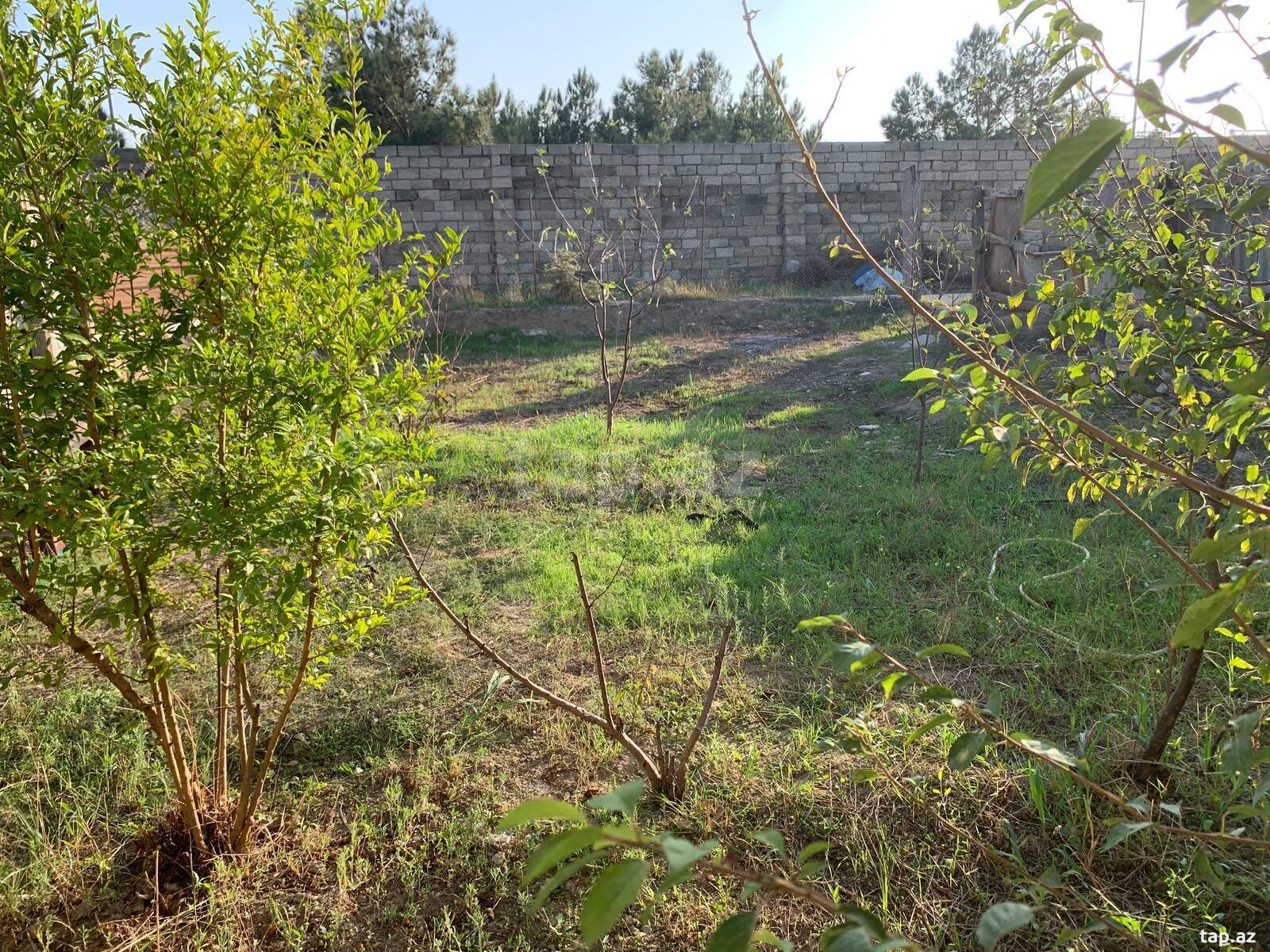 Torpaq satılır, Sumqayıt