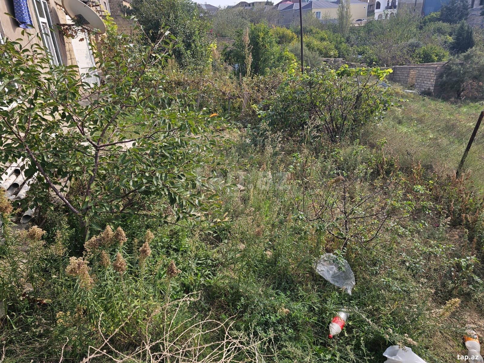 Torpaq satılır, Bakı