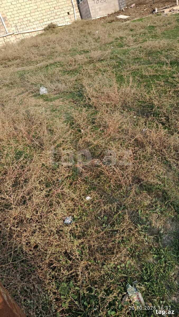 Torpaq satılır, Bakı
