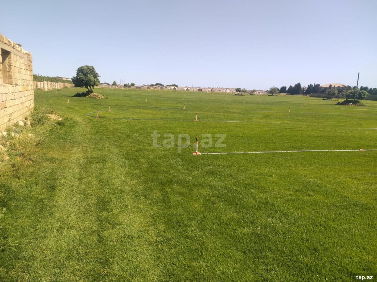 Torpaq satılır, Bakı