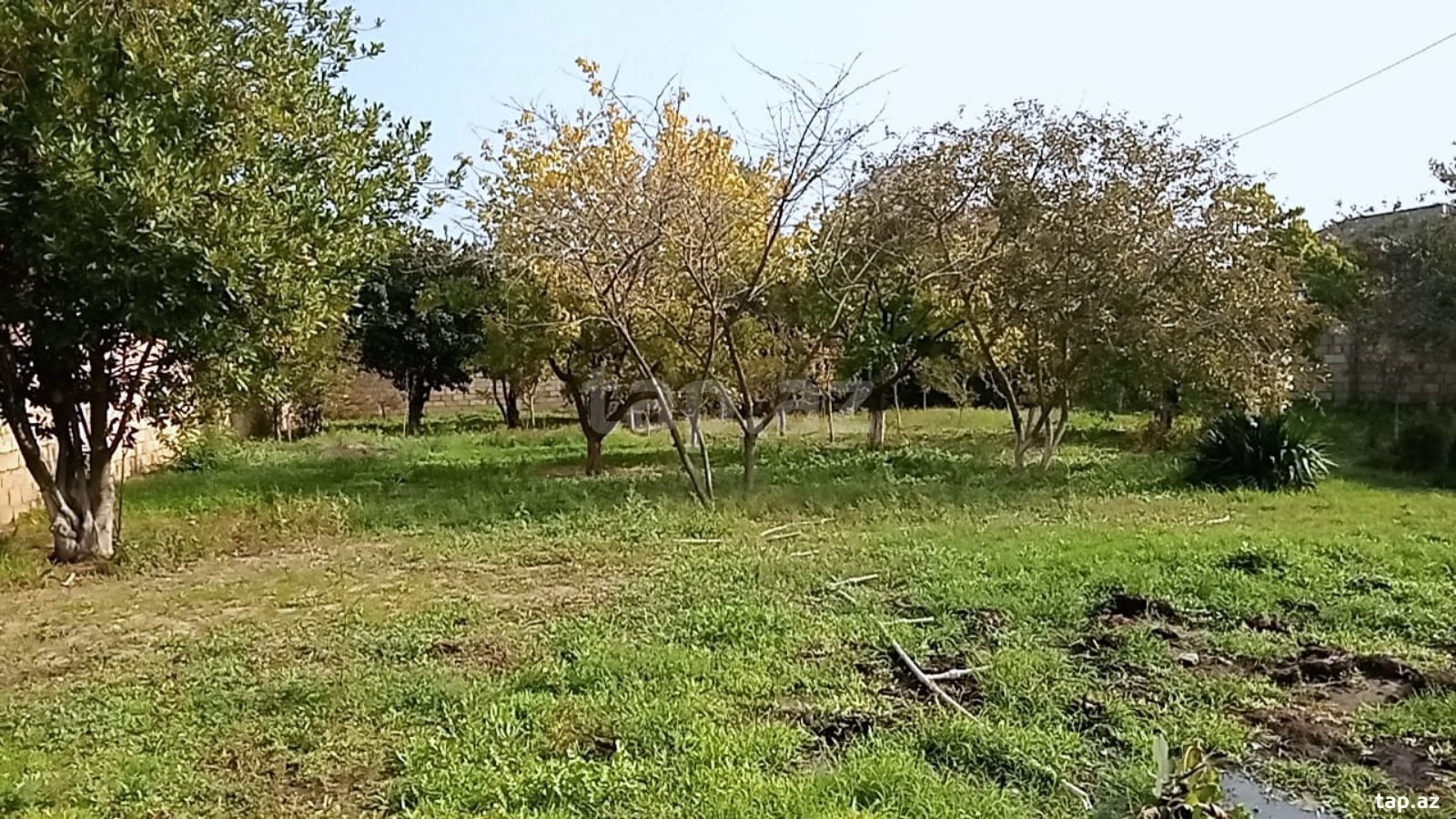 Land for sale, Baku