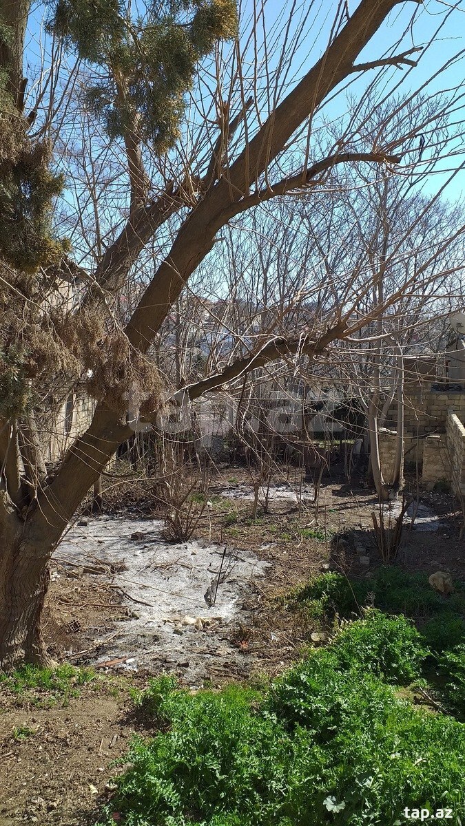 Torpaq satılır, Badamdar, Bakı
