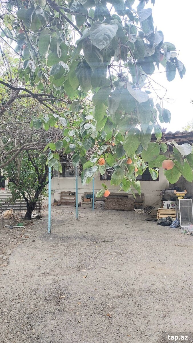 3-комн. частный дом на продажу, Гянджа