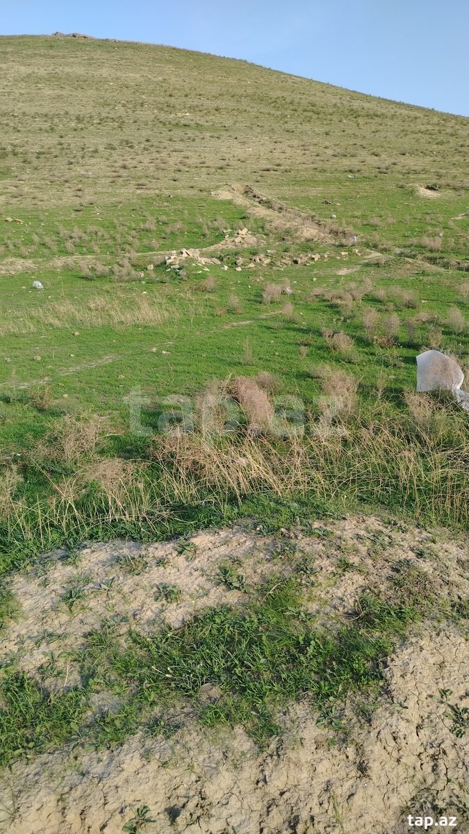 Torpaq satılır, Bakı