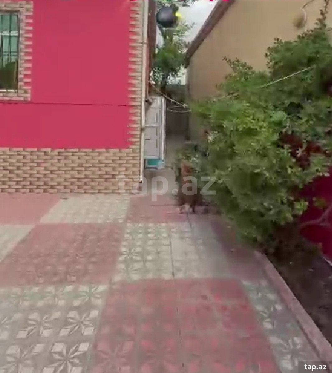 3 otaqlı həyət evi satılır, Zabrat, Bakı