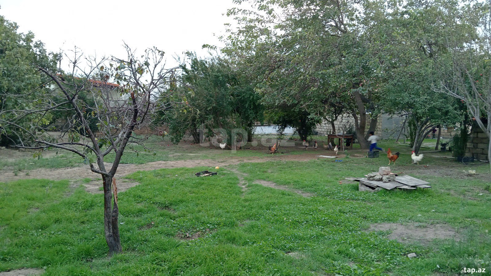 4 otaqlı həyət evi satılır, Novxanı, Abşeron