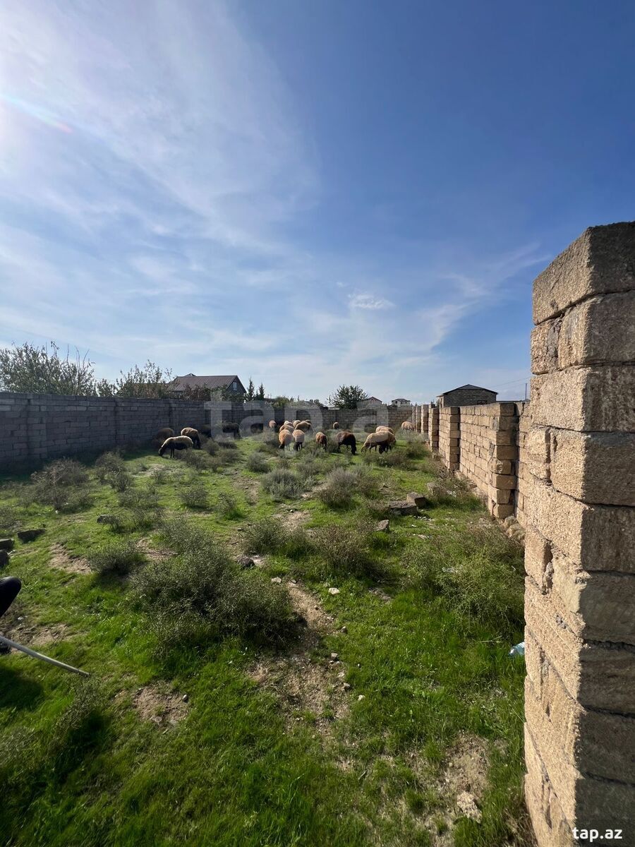 Land for sale, Baku