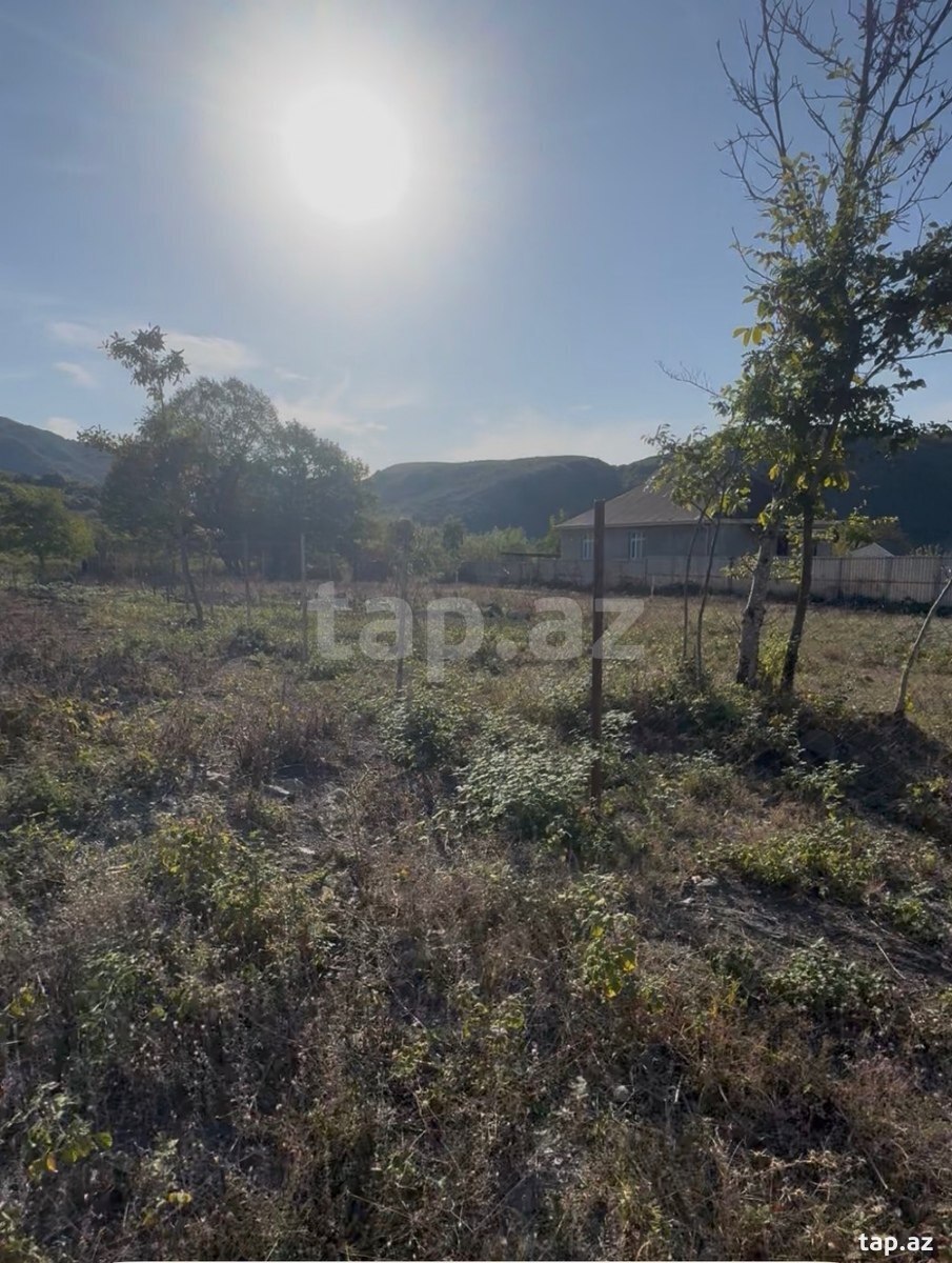 Land for sale, Ismayilli, Ismayilli