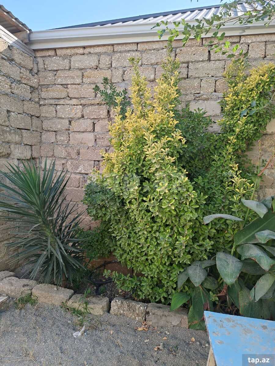 3-room private house for sale, Buzovna, Baku
