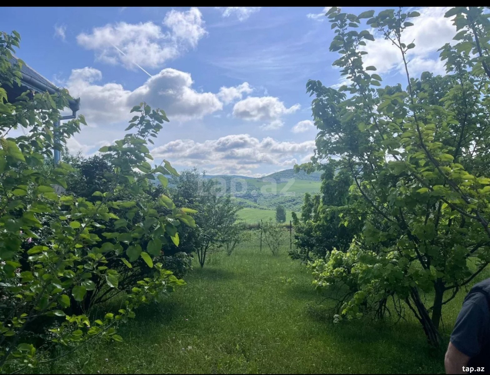 Land for sale, Ismayilli