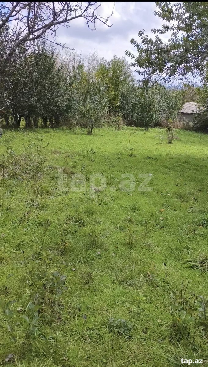 Torpaq satılır, Qusar