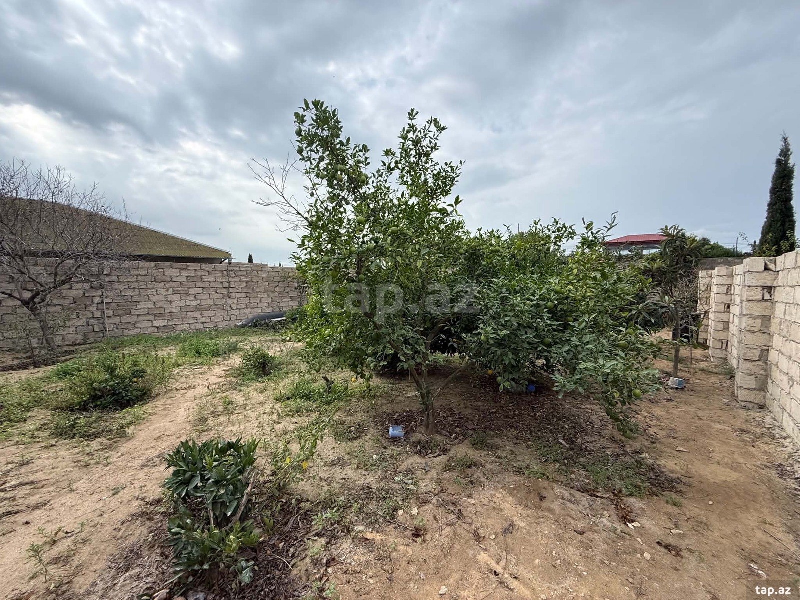 Land for sale, Sabunchu settlement, Baku