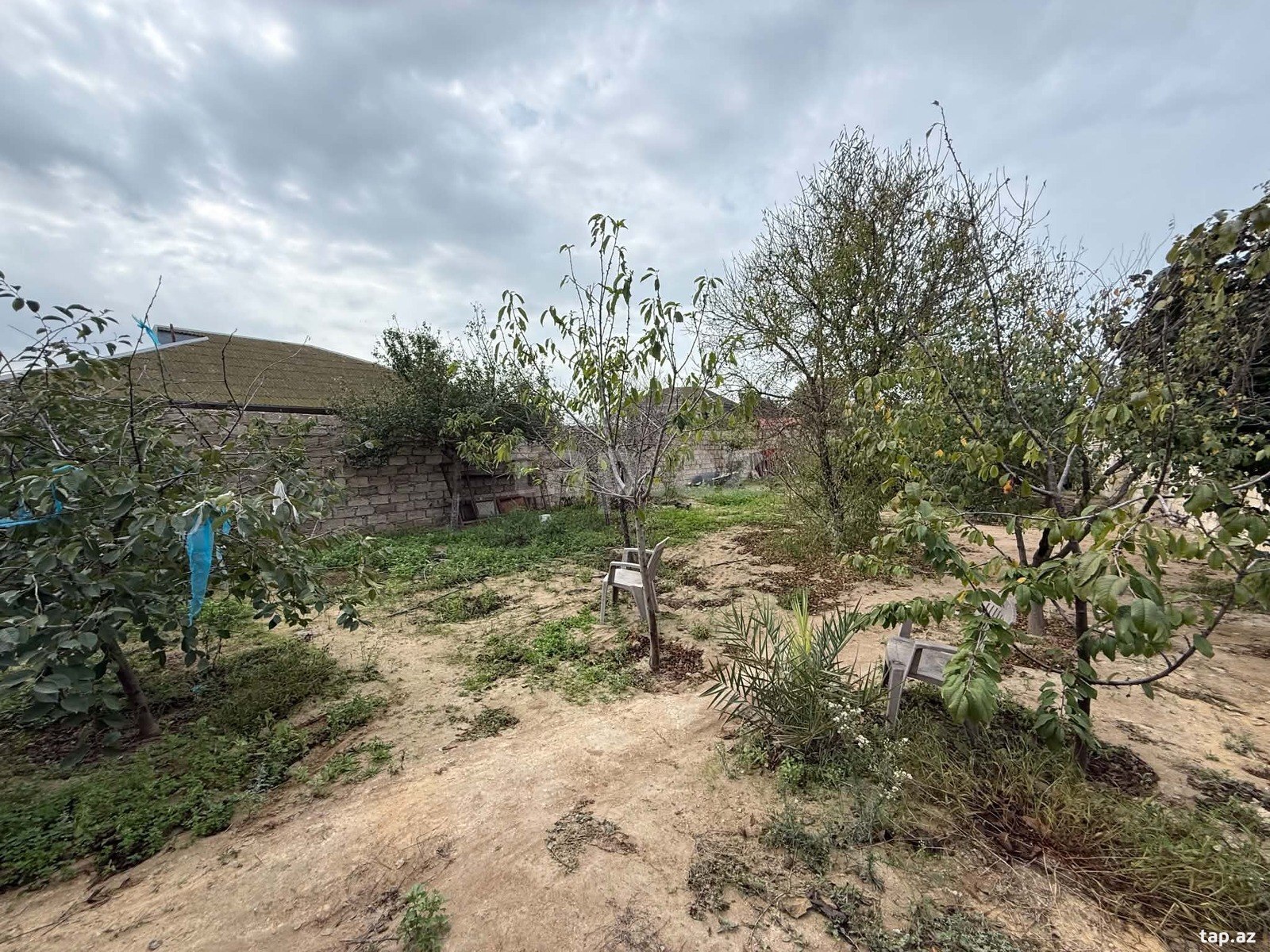 Land for sale, Sabunchu settlement, Baku