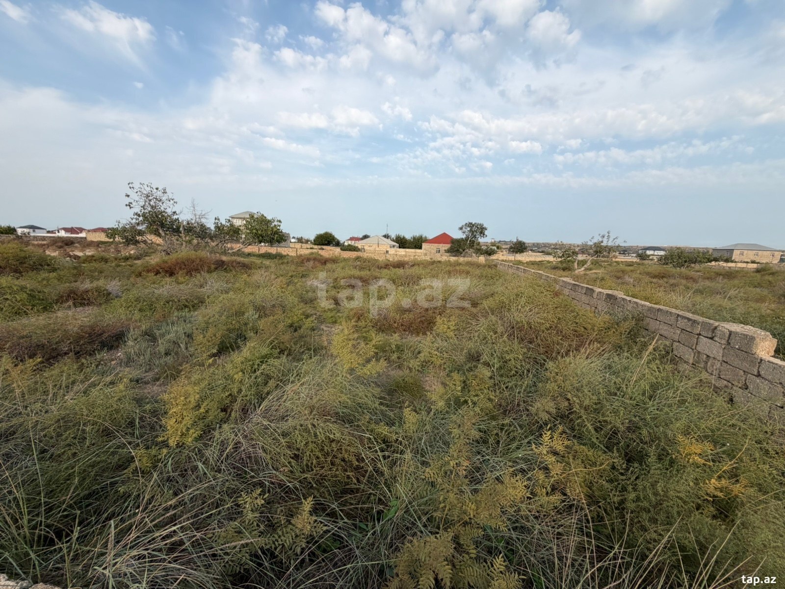 Torpaq satılır, Nardaran, Bakı