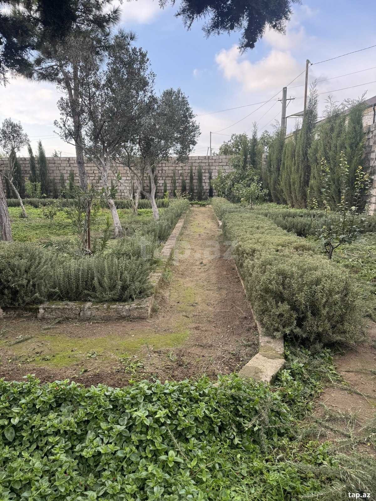 Land for sale, Mardakan, Baku