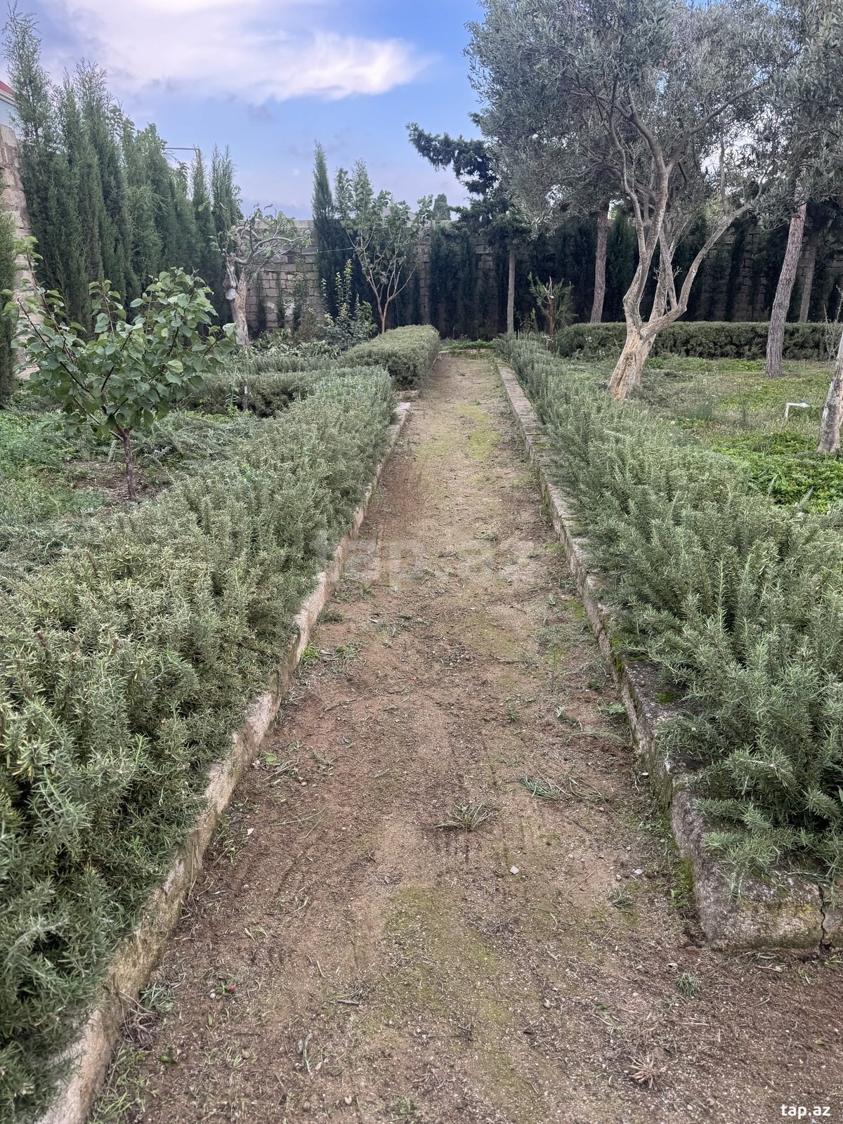 Land for sale, Mardakan, Baku