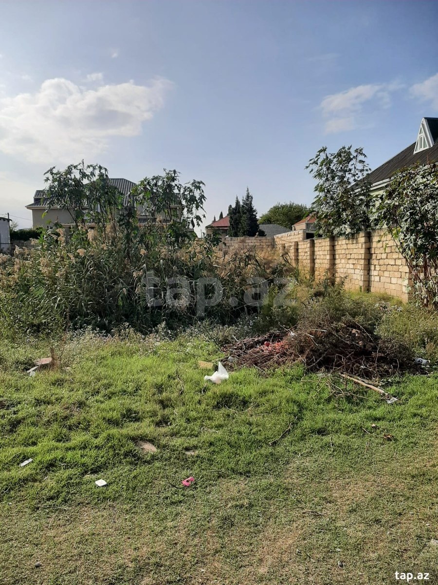 Torpaq satılır, Pirşağı, Bakı