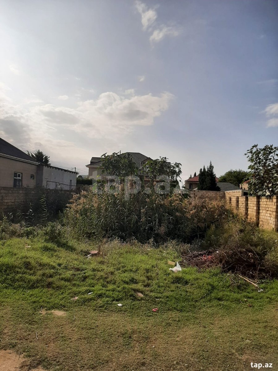 Torpaq satılır, Pirşağı, Bakı