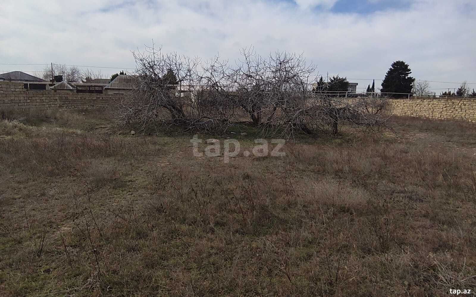 Torpaq satılır, Nardaran, Bakı