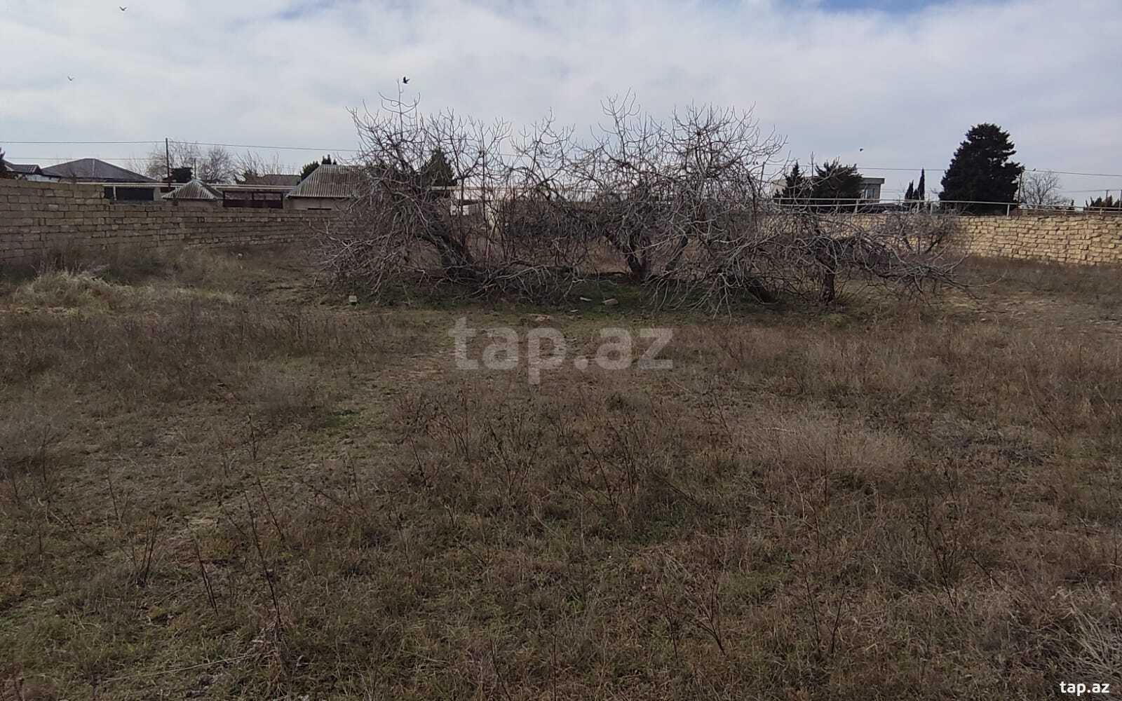 Torpaq satılır, Nardaran, Bakı
