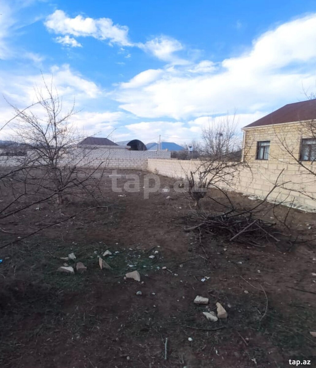 Torpaq satılır, Gəncə