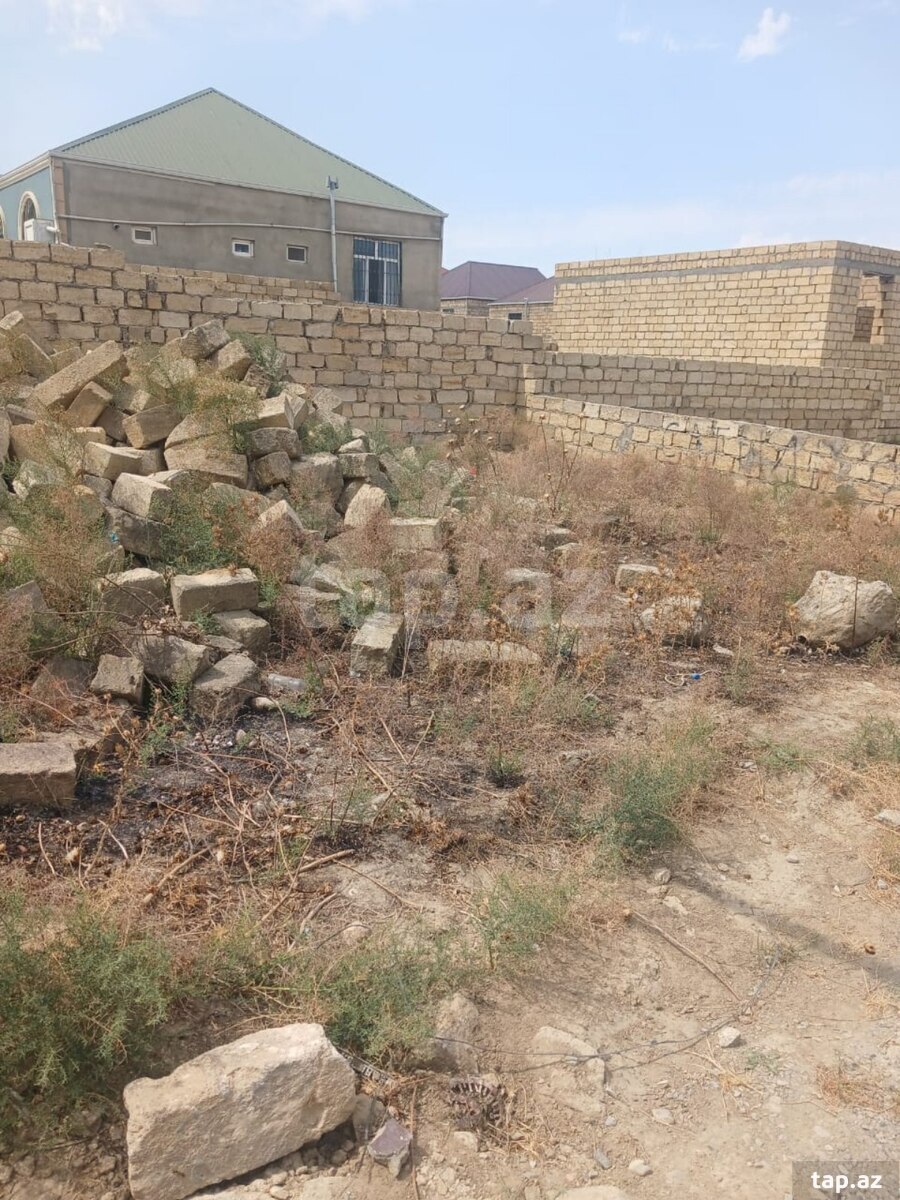 Torpaq satılır, Çiçək, Bakı
