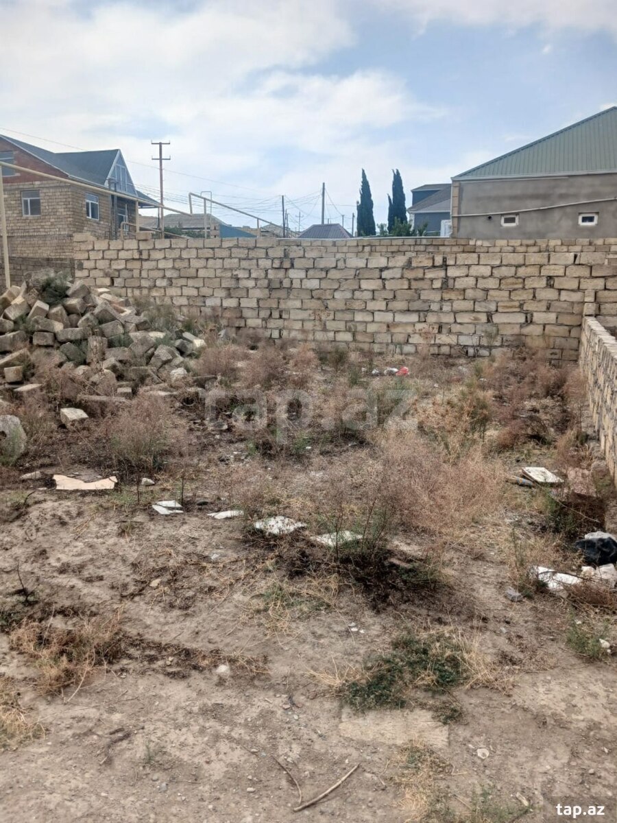 Torpaq satılır, Çiçək, Bakı
