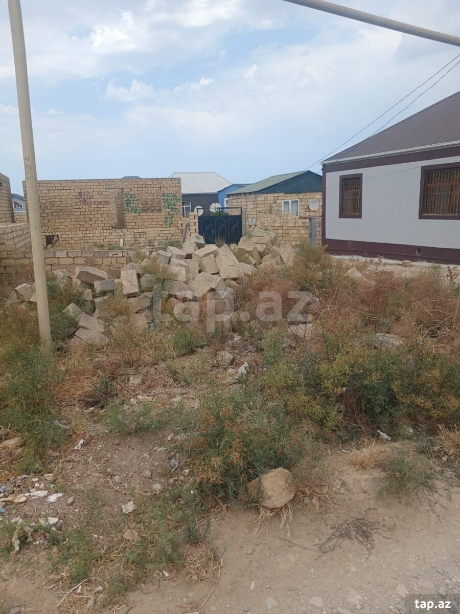 Torpaq satılır, Çiçək, Bakı