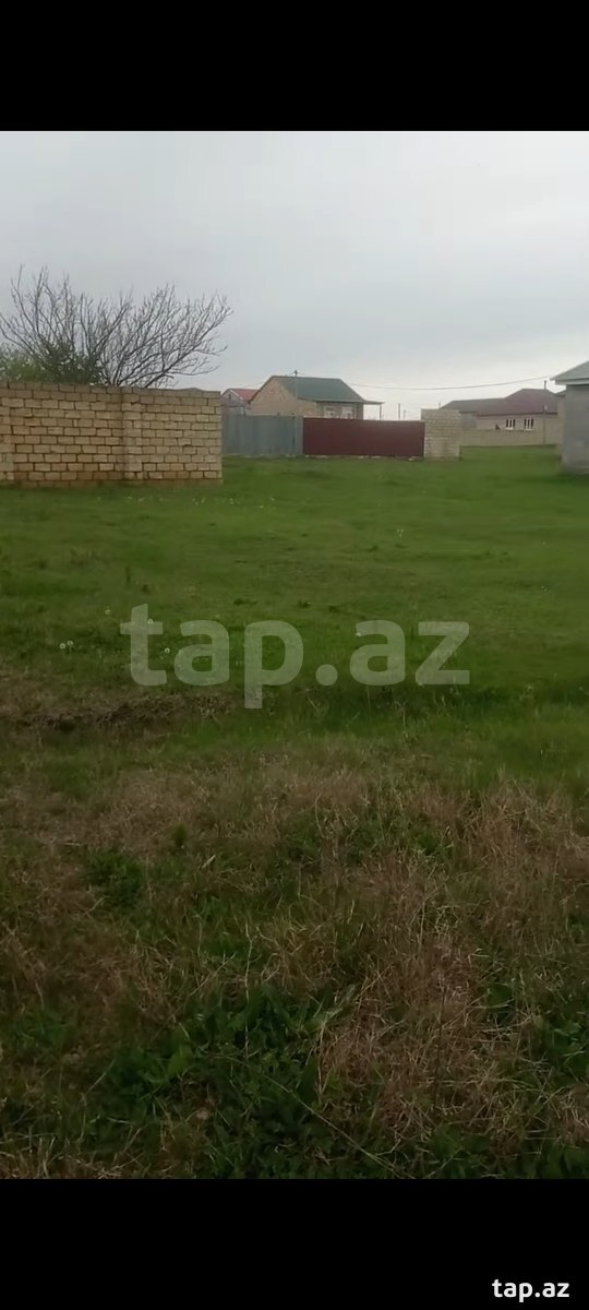 Torpaq satılır, Şəki