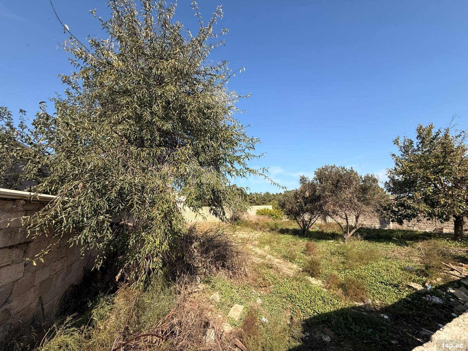 Torpaq satılır, Buzovna, Bakı