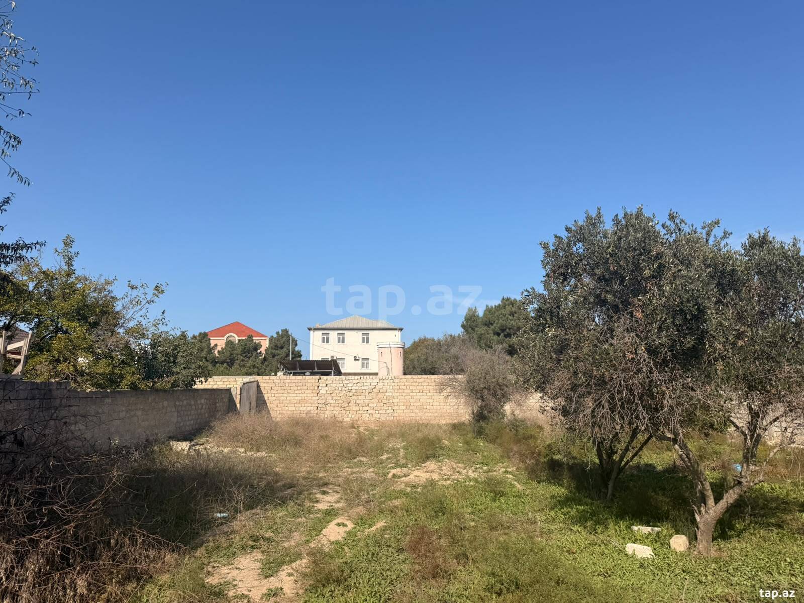 Torpaq satılır, Buzovna, Bakı
