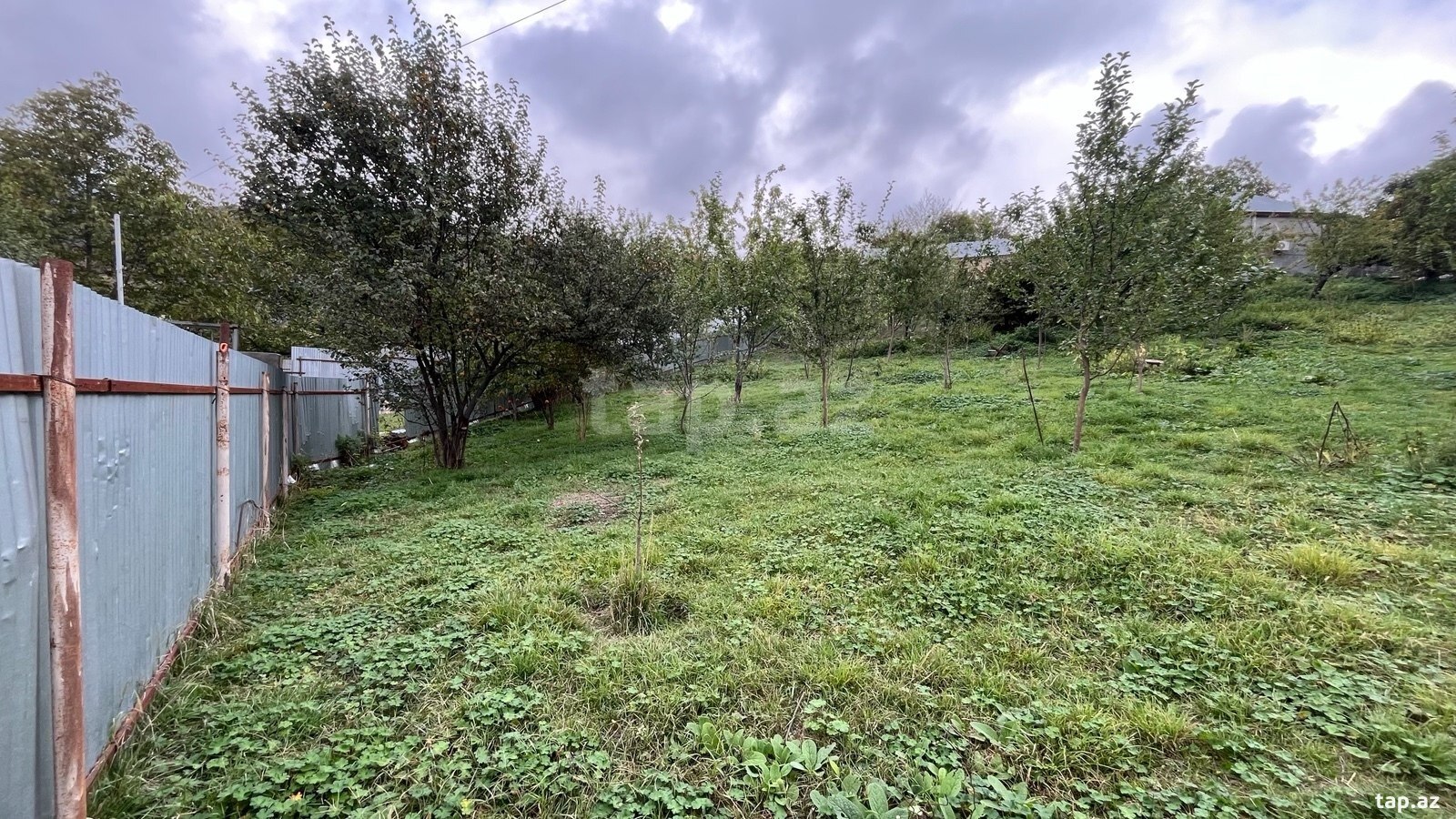 Land for sale, Talistan, Ismayilli