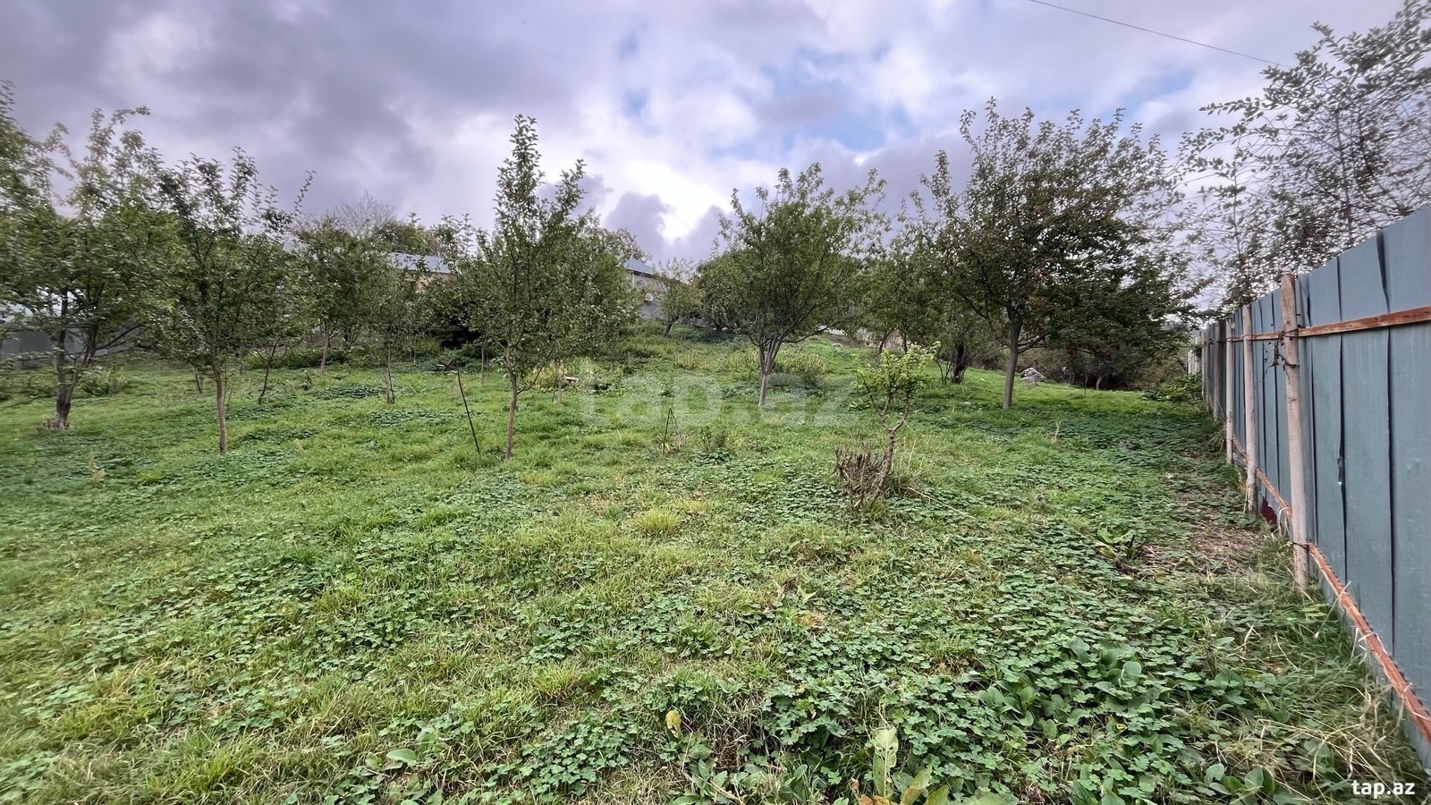 Land for sale, Talistan, Ismayilli
