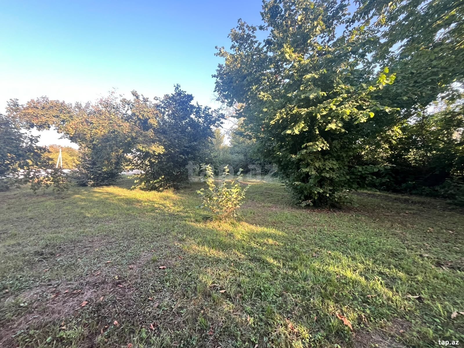 Land for sale, Soltannukha, Gabala