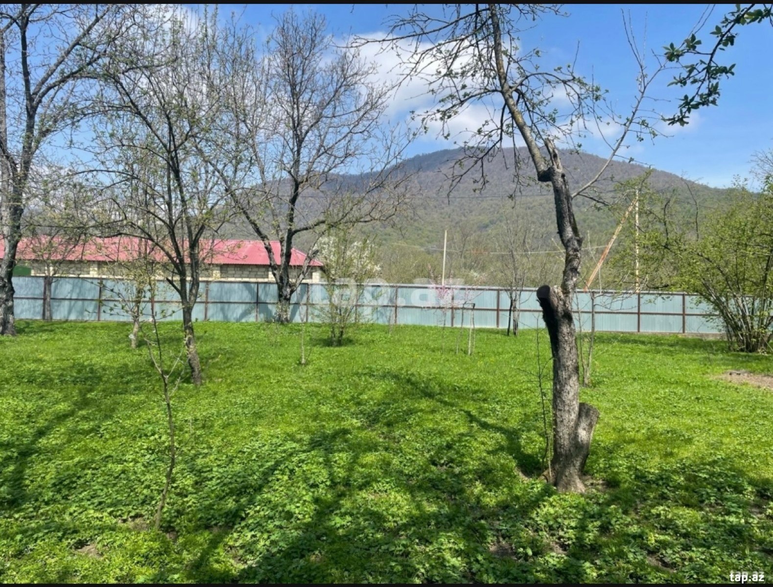 Torpaq satılır, Bum, Qəbələ