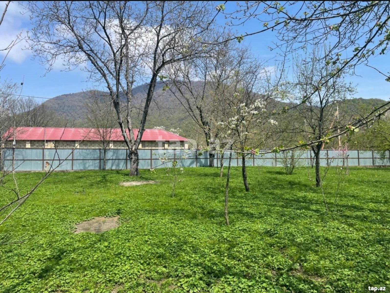 Torpaq satılır, Bum, Qəbələ