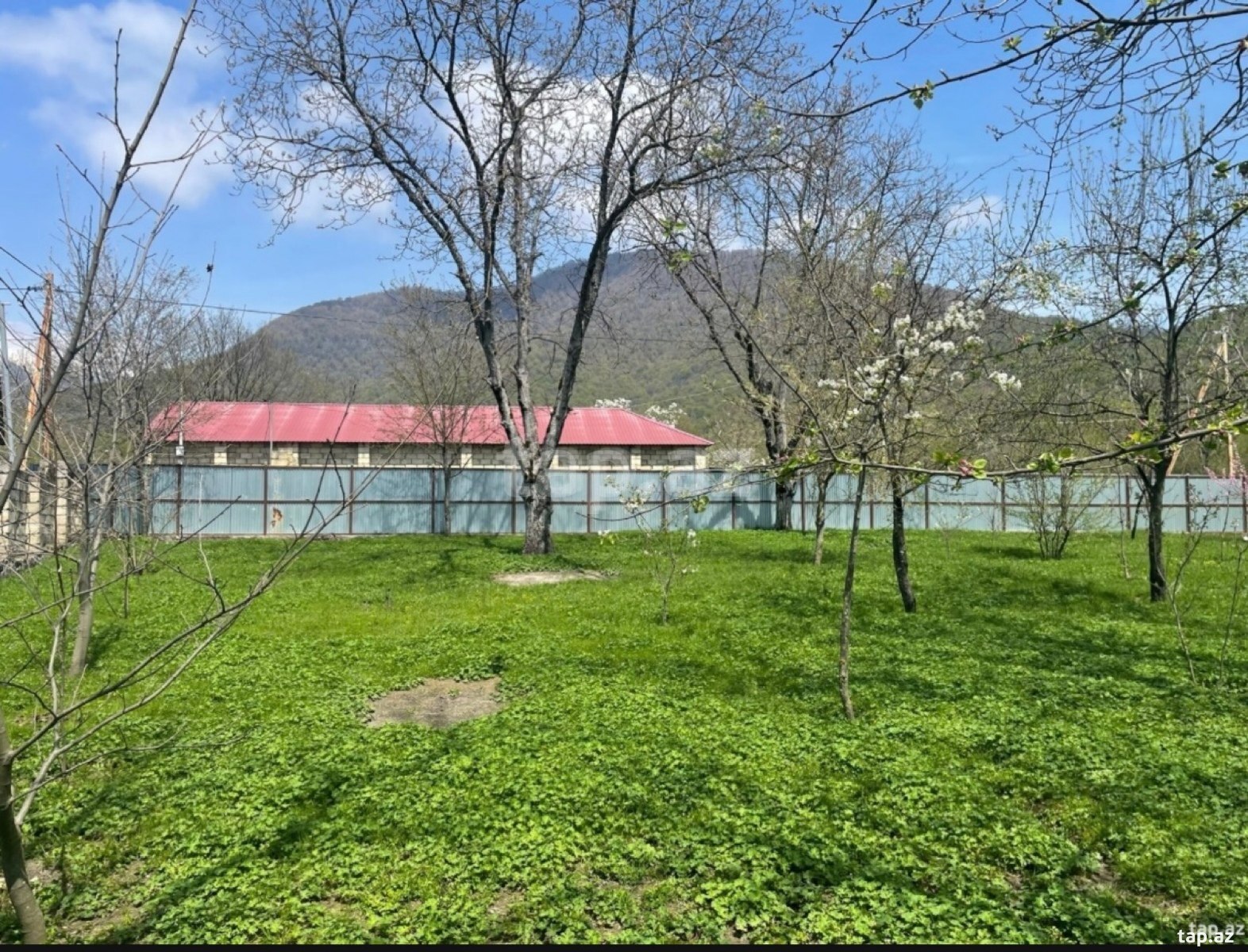 Torpaq satılır, Bum, Qəbələ
