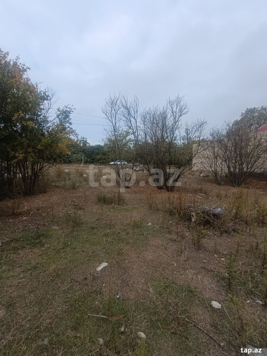 Torpaq satılır, Gəncə
