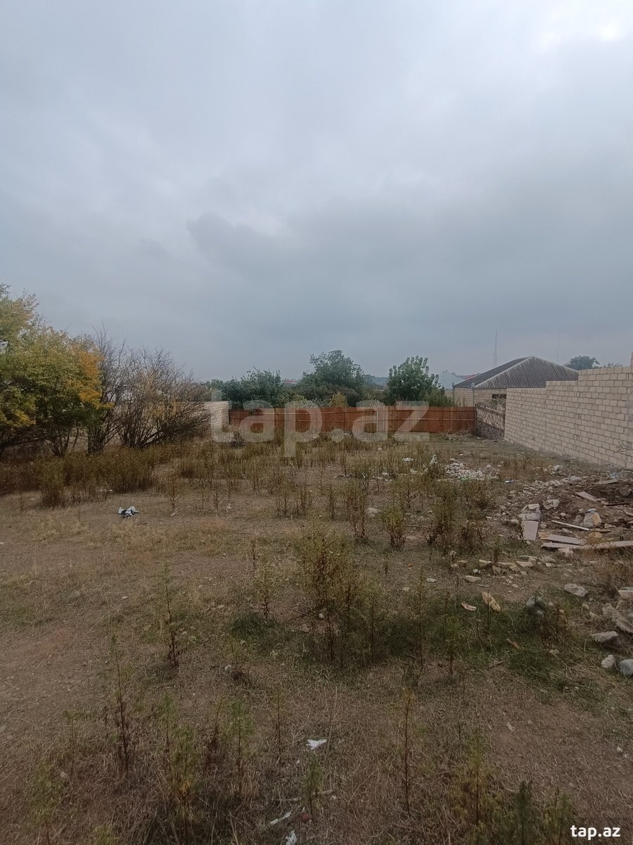 Torpaq satılır, Gəncə