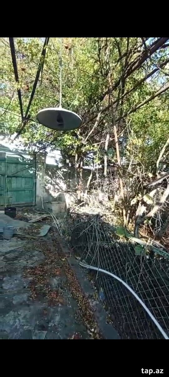 Torpaq satılır, Gəncə