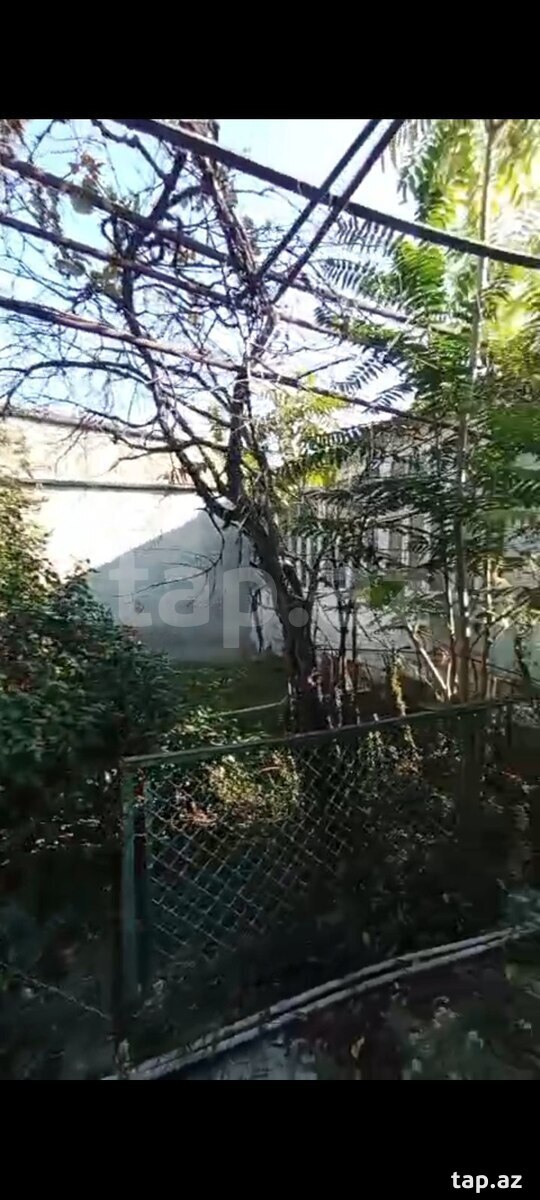 Torpaq satılır, Gəncə