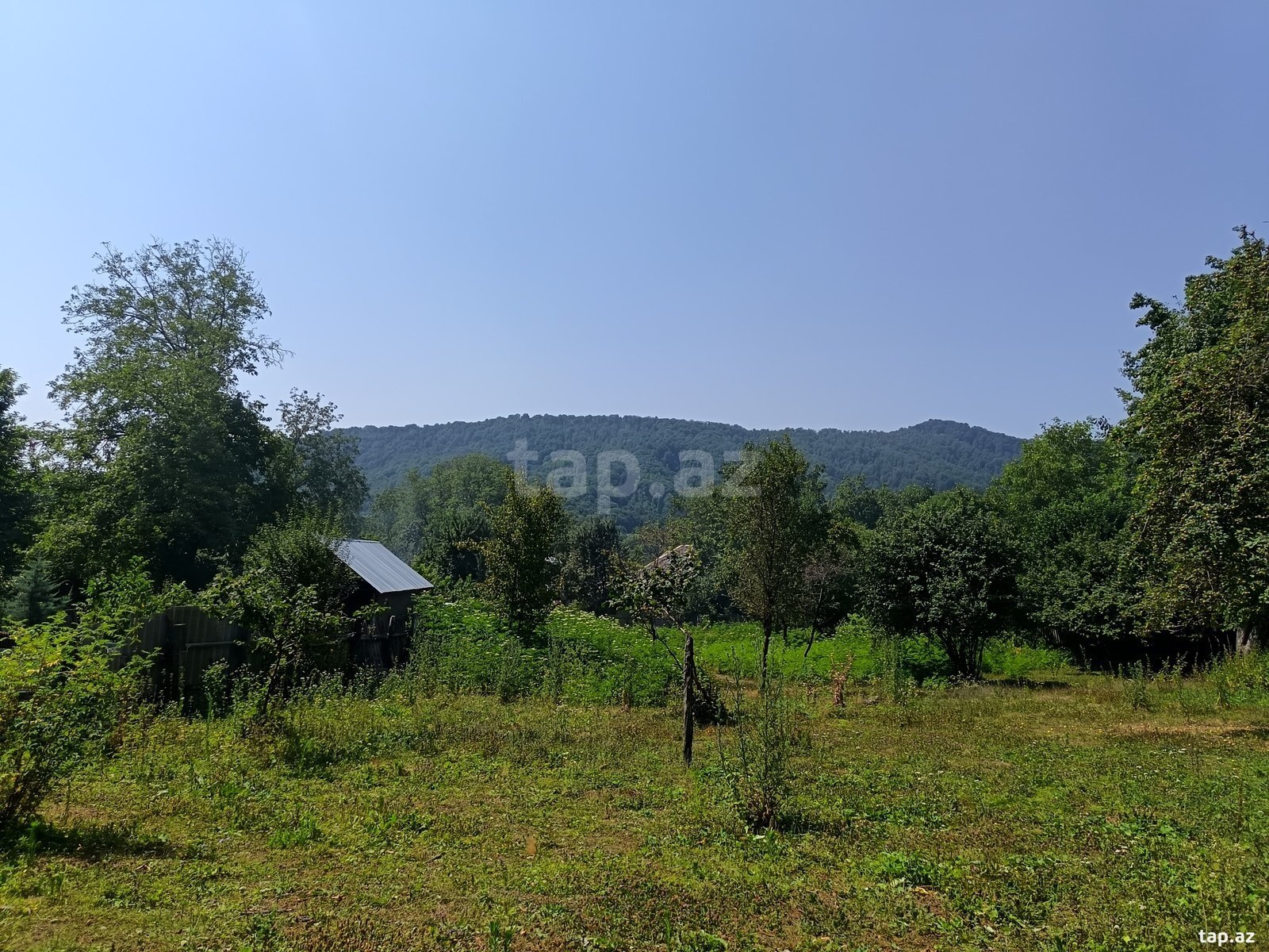 Land for sale, Ismayilli, Ismayilli